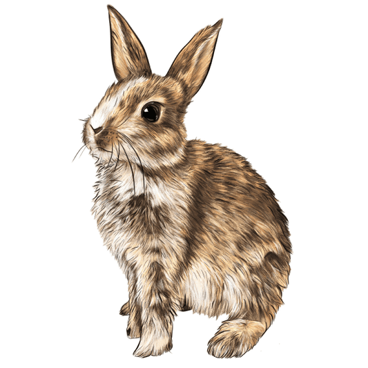 The Gentle Bunny – Wooden Jigsaw Puzzle